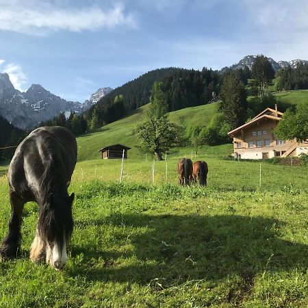 Au Pre Des Chevaux Bed & Breakfast Chateau-d'Oex Dış mekan fotoğraf