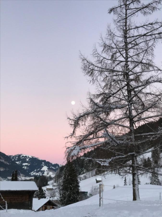 Au Pre Des Chevaux Bed & Breakfast Chateau-d'Oex Dış mekan fotoğraf