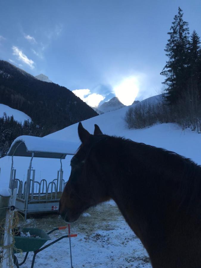 Au Pre Des Chevaux Bed & Breakfast Chateau-d'Oex Dış mekan fotoğraf