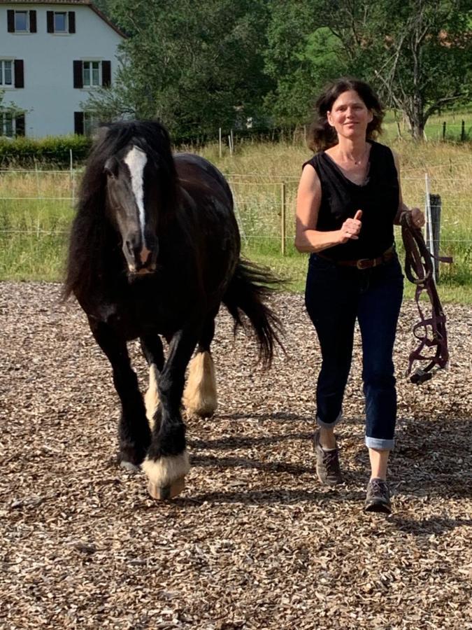 Au Pre Des Chevaux Bed & Breakfast Chateau-d'Oex Dış mekan fotoğraf