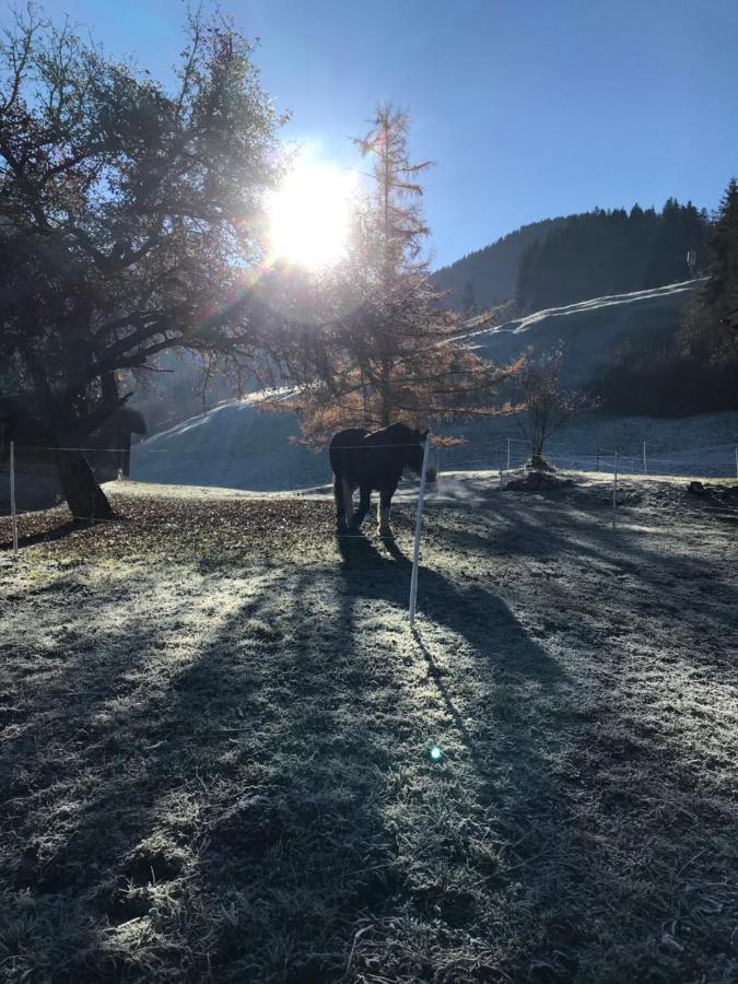 Au Pre Des Chevaux Bed & Breakfast Chateau-d'Oex Dış mekan fotoğraf