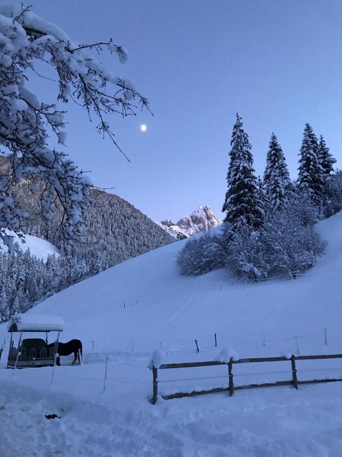 Au Pre Des Chevaux Bed & Breakfast Chateau-d'Oex Dış mekan fotoğraf
