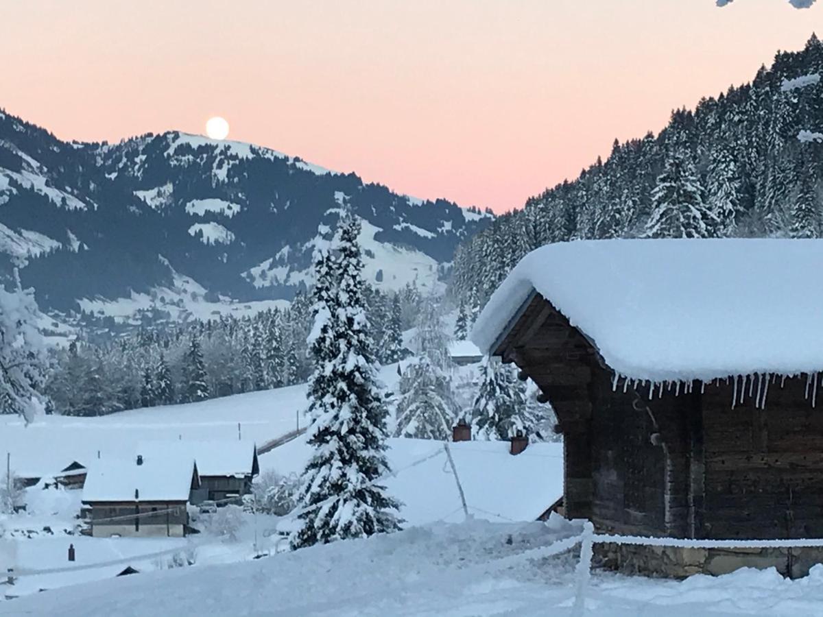 Au Pre Des Chevaux Bed & Breakfast Chateau-d'Oex Dış mekan fotoğraf