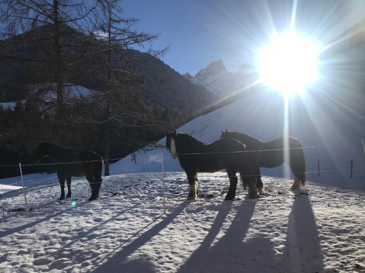 Au Pre Des Chevaux Bed & Breakfast Chateau-d'Oex Dış mekan fotoğraf
