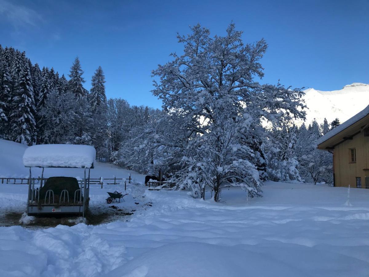Au Pre Des Chevaux Bed & Breakfast Chateau-d'Oex Dış mekan fotoğraf