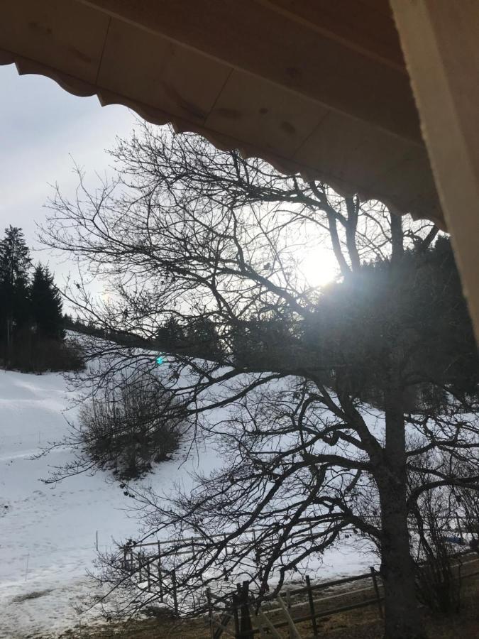 Au Pre Des Chevaux Bed & Breakfast Chateau-d'Oex Dış mekan fotoğraf