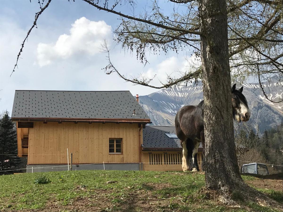 Au Pre Des Chevaux Bed & Breakfast Chateau-d'Oex Dış mekan fotoğraf