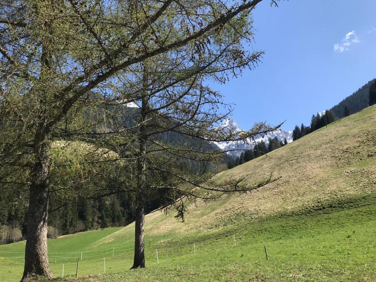 Au Pre Des Chevaux Bed & Breakfast Chateau-d'Oex Dış mekan fotoğraf